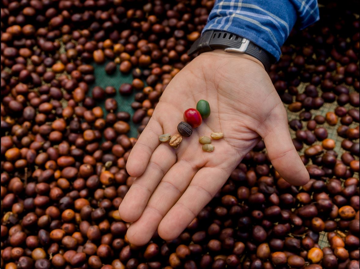 Natural coffee