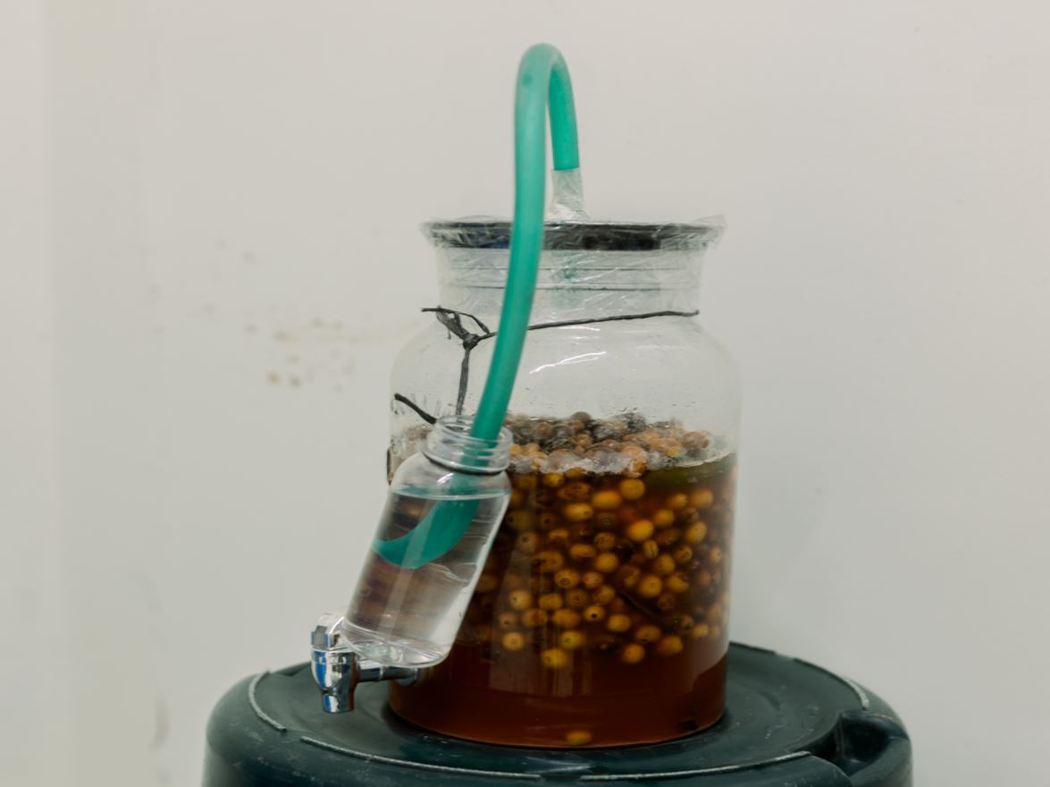 Magnos coffee